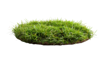 AI generated Circle grass isolated on a transparent background png