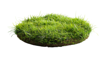 AI generated Circle grass isolated on a transparent background png