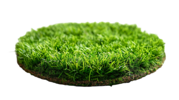 AI generated Circle grass isolated on a transparent background png