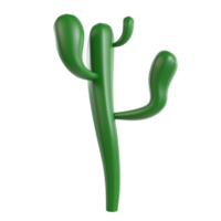3d cactus plant on transparent background png