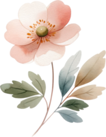 AI generated Elegant Watercolor Flower with Leaves Illustration, painting of a pink flower with detailed stamen and soft green leaves, perfect for springtime designs. png