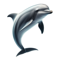 ai generato giocoso delfino silhouette - grazioso marino bellezza in mezzo trasparenza png