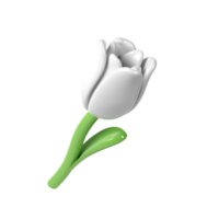 3d White Tulip Flower Cartoon Style for Bouquet or Decoration. Love Valentine romantic design spring illustration png