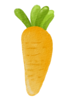 Cute Cartoon Carrot png