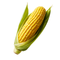 AI generated Ear of corn, corn cob isolated on transparent background png