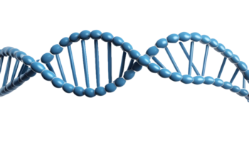 AI generated 3D blue DNA helix sequence isolated on transparent background. FREE PNG