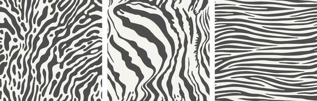 Set of three seamless zebra skin patterns. vector