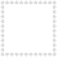 Frame Work Create from Cannabis also known as Marijuana Leaf Silhouette, can use for Decoration, Ornate, Background, Frame, Space for Text of Image, or Graphic Design. Format PNG