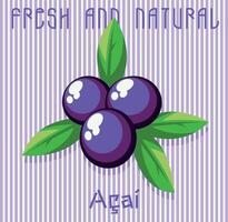 Vector illustration of Acai fruit in graphic style. Art with composition with text and striped background.