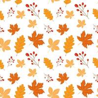 Hello autumn vector illustration