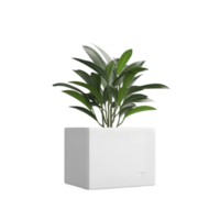 AI generated plant in a flowerpot on transparent background PNG image