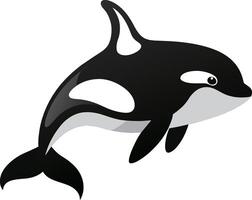 Illustration of a killer whale or killer whale on isolated white background vector