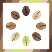 Coffee beans realistic set showing various stages of roasting isolated on white background vector