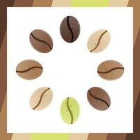 Coffee beans realistic set showing various stages of roasting isolated on white background vector