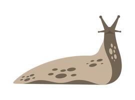 Slug vector flat illustration icon