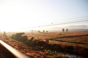 ferrocarril ferrocarril pistas en el campo en verano tiempo de día foto