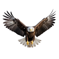 ai generado americano calvo águila en transparente antecedentes png imagen