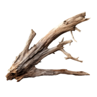 AI generated tree trunk on transparent background PNG image