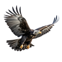 ai généré américain chauve Aigle sur transparent Contexte png image