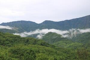 point of mist mountain view photo