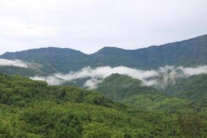 point of mist mountain view photo