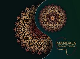 abstract mandala art design vector