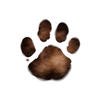 AI generated animal Paw Print on transparent background PNG image