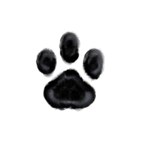 AI generated animal Paw Print on transparent background PNG image