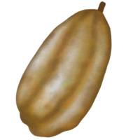 cacao bomen, cacao fruit en bladeren, cacao boerderij png