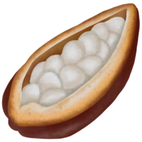 cacao bomen, cacao fruit en bladeren, cacao boerderij png