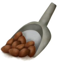 cacau pó, cacau feijões png