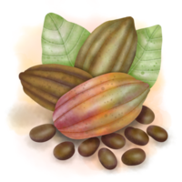 cacau árvores, cacau frutas e folhas, cacau Fazenda png