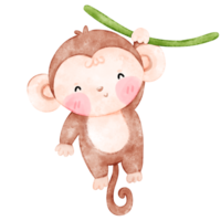 bebê macaco, fofa macaco, aguarela macaco png