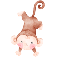 Baby Monkey, cute monkey, watercolor monkey png