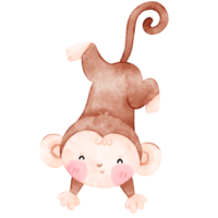 Baby Affe, süß Affe, Aquarell Affe png