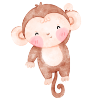 Baby Monkey, cute monkey, watercolor monkey png