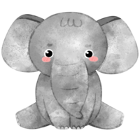 schattig baby olifant, waterverf stijl, dier, olifant png