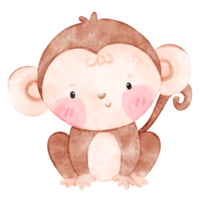 bébé singe, mignonne singe, aquarelle singe png