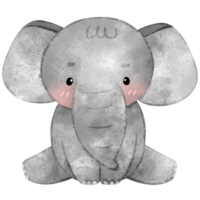 fofa bebê elefante, aguarela estilo, animal, elefante png