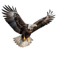 AI generated Collection of Flying Bald Eagles Isolated png