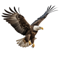 ai genererad samling av flygande skallig eagles isolerat png