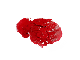 röd borsta stroke, transparent bakgrund png