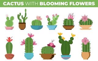 set of different types of cactus with blooming flowers vector