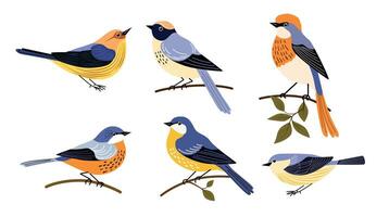 Set of decorative birds hand draw flat vector. vector