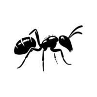 illustration with ant silhouettes isolated on white background vector