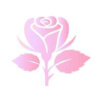 Rosa flor de floreciente planta. jardín Rosa aislado icono de rosado florecer, pétalo y brote con verde vástago y hoja para romántico floral decoración, Boda ramo de flores y enamorado saludo tarjeta vector