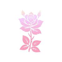 Rose flower of blooming plant. Garden rose isolated icon of pink blossom, petal and bud with green stem and leaf for romantic floral decoration, wedding bouquet and valentine greeting card vector