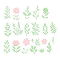 floral backdrop decorated with gorgeous multicolored blooming flowers and leaves border. Spring botanical flat vector illustration on white background