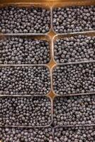 Blueberries packaged in a plastic container are on the store counter. photo