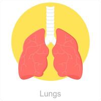 Lungs and anatomy icon concept vector